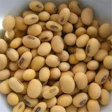 Soybean for sale Soybean for sale. Unleash the power of nature with our premium soybeans, now available for sale! These little legumes are not just any ordinary ingredient; they are a powerhouse of nutrition and versatility, perfect for those who seek to elevate their meals and enrich their lifestyles. Packed with high-quality protein, fiber, and essential vitamins, our soybeans can transform your cooking while supporting your health. Imagine whipping up hearty soups, protein-packed salads, or delicious plant-based burgers that will leave your taste buds dancing! Whether you're a seasoned chef or just starting your culinary journey, these soybeans are the ideal addition to your pantry. Join the movement towards healthier eating and sustainable living. Embrace the amazing benefits of soybeans that nourish both you and the planet. Don’t wait any longer—grab your bag of premium soybeans today and start creating mouthwatering dishes that you’ll be passionate about sharing! —