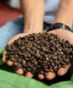 Discover the rich world of coffee beans for sale in tanzania! Explore various types, brewing methods, and flavor profiles to elevate your coffee experience.