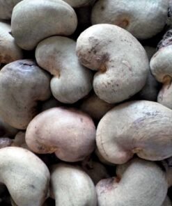Reliable cashew nut sellers offering premium quality bulk cashews worldwide. R&S Group is a trusted supplier and exporter of raw and processed cashew nuts.