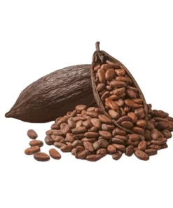 Explore top-grade cocoa beans sourced from trusted farms, ideal for chocolate production and bulk supply.
